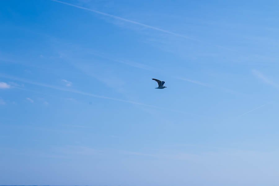 Sejerø